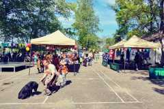 343957056_978372599991496_8540146810112927956_n