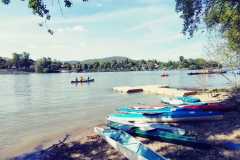 343965239_597837528976324_1582517626252525112_n